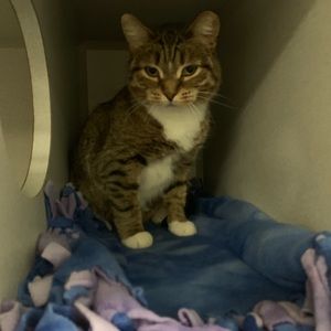 Meet your Posher, Andrea